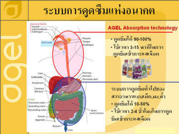 รูปแบบเจล พกพาสะดวก